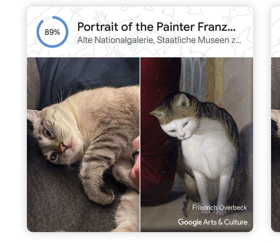Kæreste beundre ledningsfri Google's Pet Portraits lets you find art look-alikes for your furry friend  - Wilson's Media